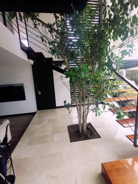 Foto Casa en Venta en fusagasuga, FUSAGASUGA  CUNDINAMARCA COLOMBIA, Cundinamarca - CAV203610 - BienesOnLine